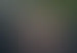 Kommst du zwischen meine Beine und leckst mir die P***y? đđ