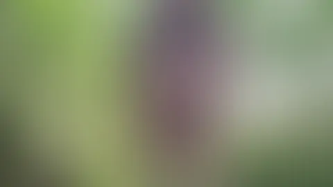 Die Natur kann so schön sein😋🌱
