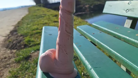 Spaziergang in der Sonne