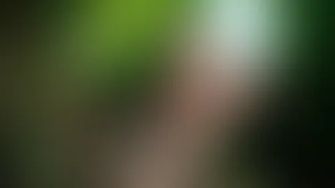 Na, würdest du mir durch den Dschungel folgen? 😏😈