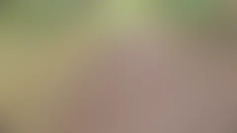 Er bat mich, irgendwo anzuhalten und für ihn zu spritzen 💦