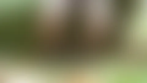 Dildospiel im Wald