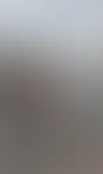 Grüße, die Nutten vom Block