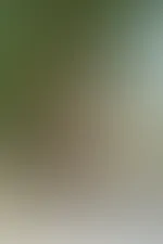 Auch dieses Jahr sind auf der Venus in Berlin einige richtig schöne Bilder entstanden! Die möchte ich dir natürlich nicht vorenthalten! 🥰 Also sei gespannt was für schöne Bilder dich noch erwarten! �