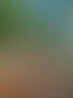 Ich sonne gerade meine Titten, und was treibst du so? đâïžđ