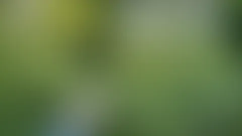 NACH DEM S****T MUSSTE ICH ECHT PULLERN