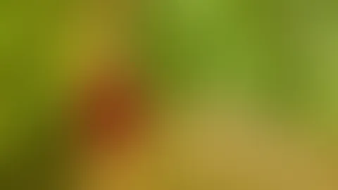 Was ich da wohl wieder getrieben habe