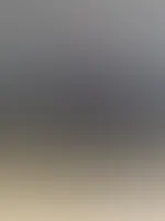 Lederreitstiefel gefĂ€lligst?
