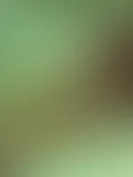Guten morgen von der Sonnenbank