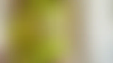 Dieses Netzkleidchen lässt kaum etwas der Fantasie über... oder doch? 🔥😏 Willst du mehr sehen?