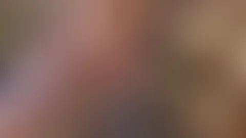 Das schöne Wetter muss genutzt werden