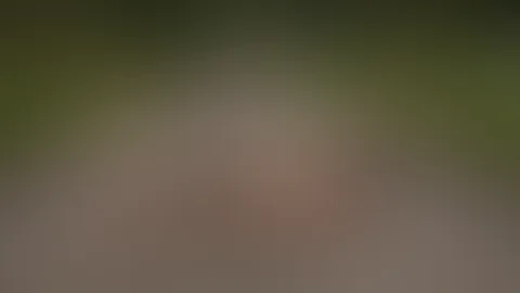 Schönes Shooting im Freien