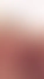 🐱