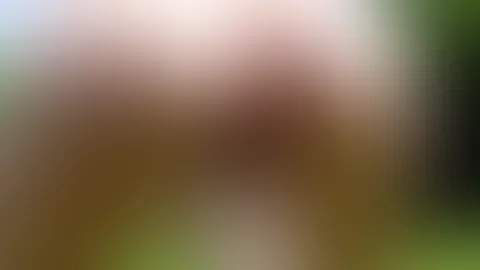 Best of OUTDOOR P**SEN! Ich habe die letzte Zeit ein paar Ausflüge in die Natur gemacht und ja wie das halt so ist mit und Weiblichen wesen, wir MÜSSEN IMMER! Ja also lasse ich halt einfach laufen u