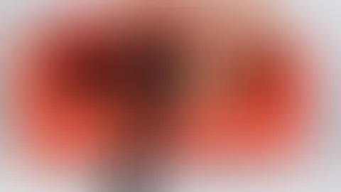 Das rote Sofa