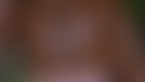Was ist deiner Ansicht nach das beste Möbelstück auf dem man *** haben kann?