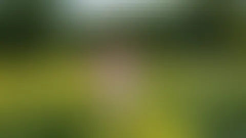 Einen schönen Pfingstmontag .... lass es Dir gut gehen! Deine Lena