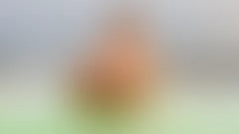 Was für eine Aussicht 😜 Ich zeige dir gerne meine gepiercte F***e, meinen prallen A***h und meine geilen Naturtitten💦🥰 Bin heute am Donnerstag von 18 - 20 Uhr Live in der Cam für dich! Also lass