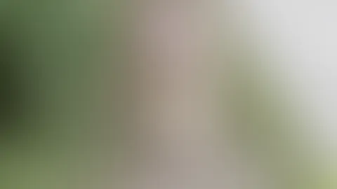 Gehst du auch mal mit mir spazieren ? 😜