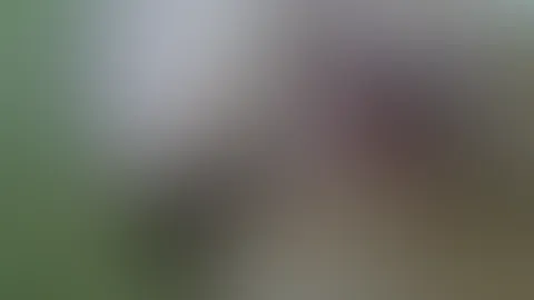 ich berühre so gerne meine M****i und steck auch mal was rein - würdest du mich auch gerne berühren? und wo reinstecken? <3