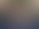 Fotoreihe mit mein Dildo