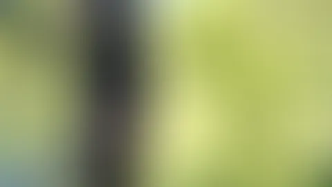 Im transparenten Nylon-Strumpf auf dem Steg und das mitten am Tag…