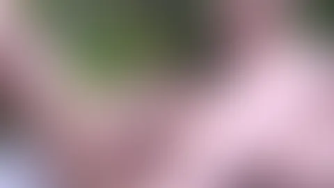 Eisdildos und Luftmatratze