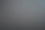 Bad Bunny đ°â„ïž