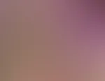 đ