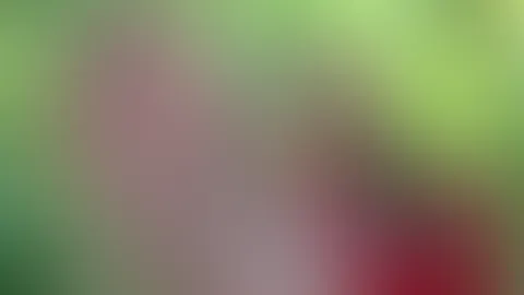 Na was machst du bei der Hitze ? Bist du am genießen schon 😏