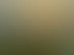 Die letzten Sonnenstrahlen genießen