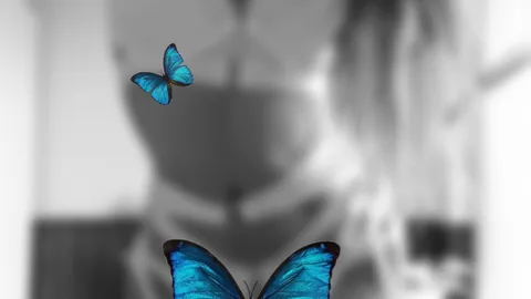 New Dessous