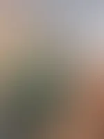 Guten Morgen ☀️ bereit für den Tag?😏