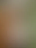 A***h geilen Tag gewĂŒnscht đđ
