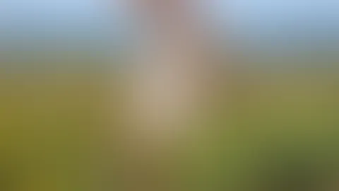 😘