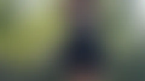 P**s video