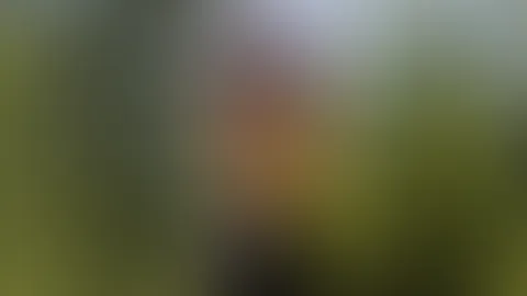 Genießt die Aussicht 😈☀️