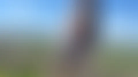 Einen wunderschönen montag. Ist bei dir auch Feiertag?💛