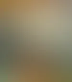 Gefällt dir die Aussicht🥴