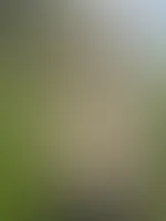 Outdoor ziehe ich einfach am Liebsten blank😈 Für Abonnenten kostenlos!