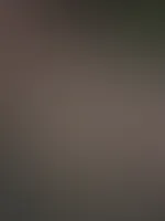Kommst du mit ?