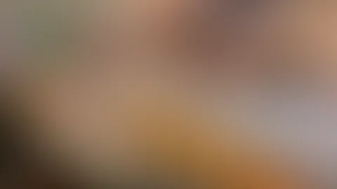B****n f**ken Dildo