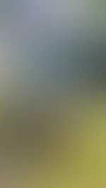 Wieder sexy und ohne BH einkaufen gehen