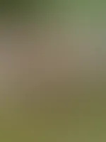 Hey, ich wünsche Dir einen besonders schönen Sonntag! Mach doch heute mal einfach alles das, wonach Dir gerade ist ;)