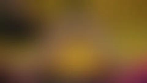 Mein erstes Femdom Video