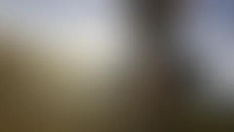 Ein wunderschöner Tag