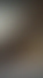A***h, Titten, P***y, Vibrator alles dabei