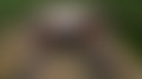 Warum liegt hier eigentlich Stroh??? Ihr wisst was jetzt passiert - 18++