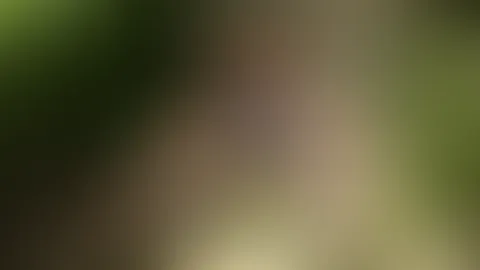 Positionswechsel - so viele Möglichkeiten, welche willst du wahrnehmen? Folge mir auf Schritt und Tritt und finde deine Gelegenheit!