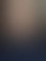 đ«§ Feed-Edition đ«§